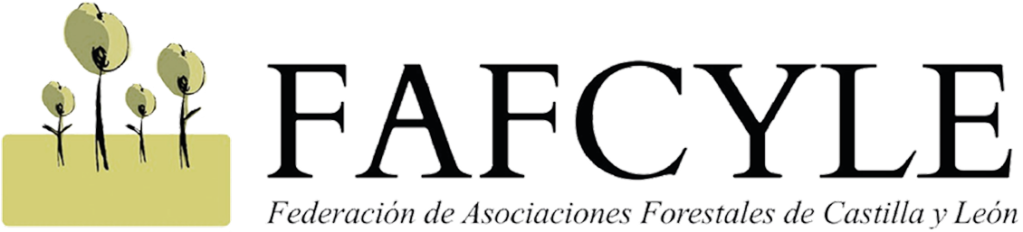 Logo de socio 10